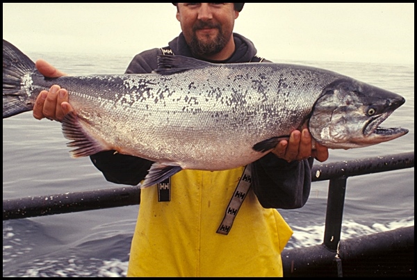 골다공증에 좋은 음식 BEST 8 골다공증에 좋은 음식 BEST 8