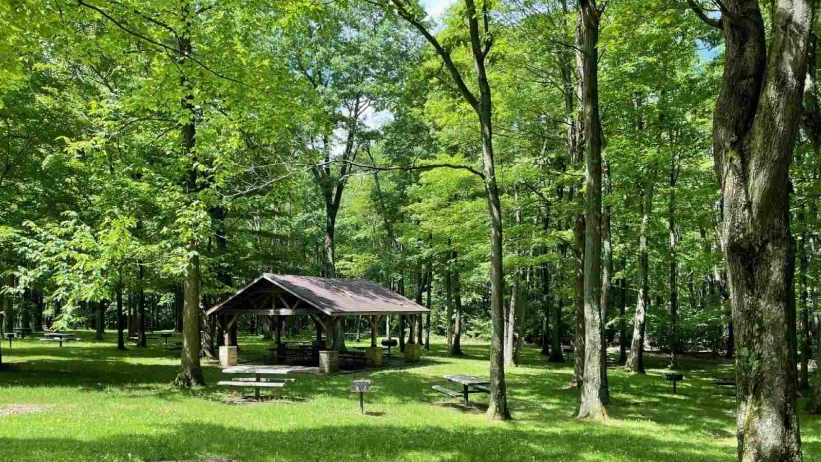 Stonyvale Picnic Area