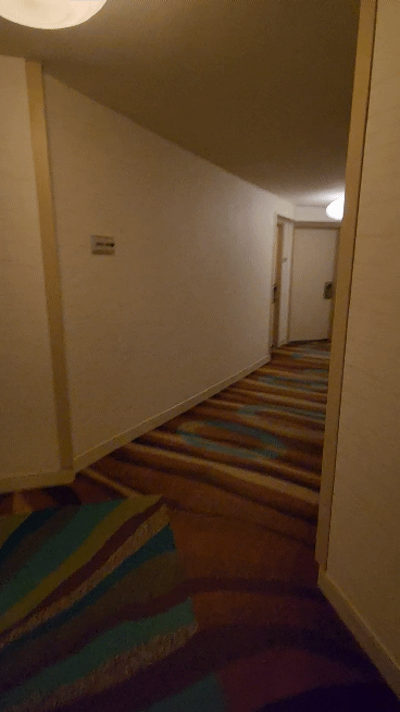 하얏트리젠시호텔복도