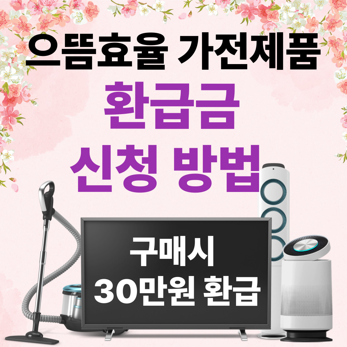 으뜸효율 가전제품