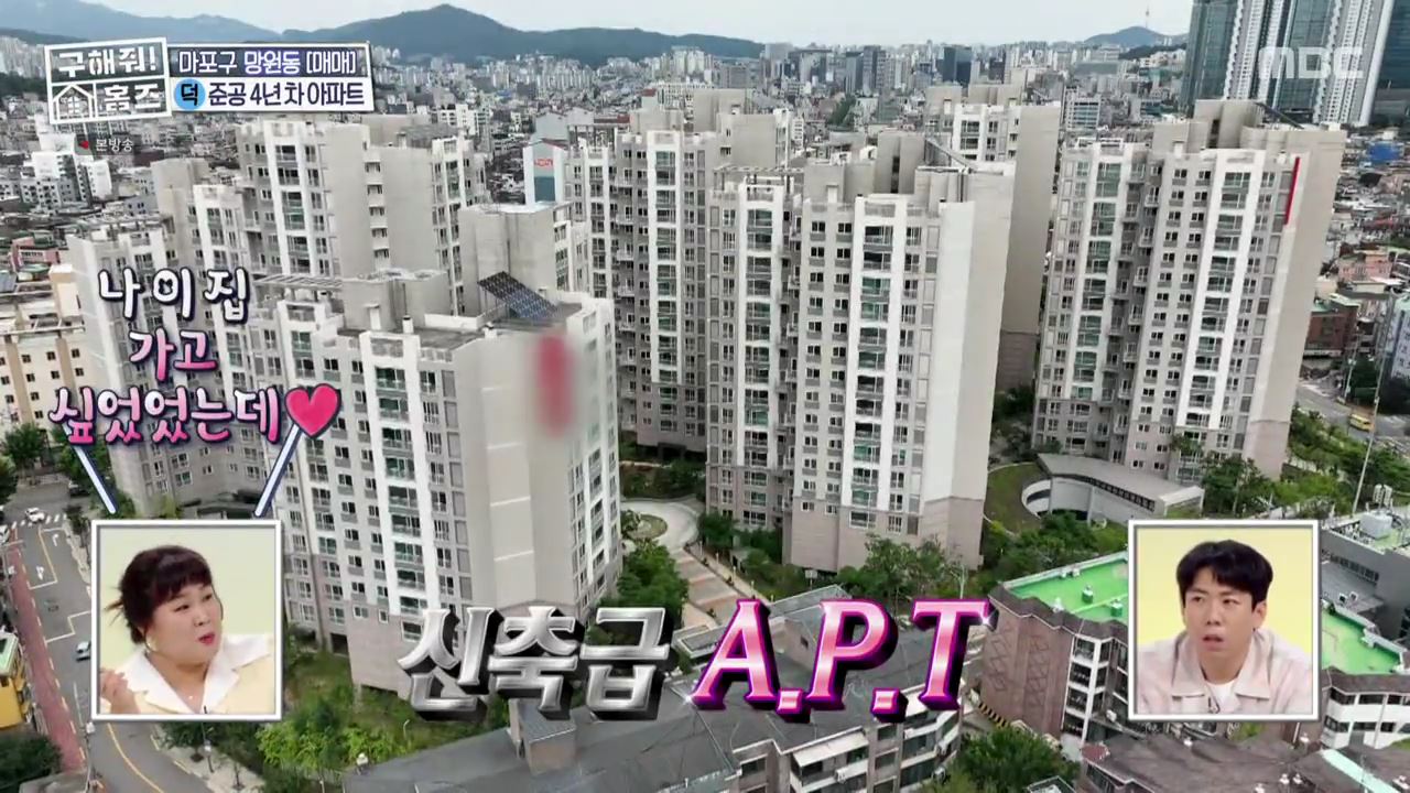 구해줘홈즈 마포구 망원동 망원 도보로만 하우스 매물 가격 및 구조 인테리어 리모델링 최종선택 소개