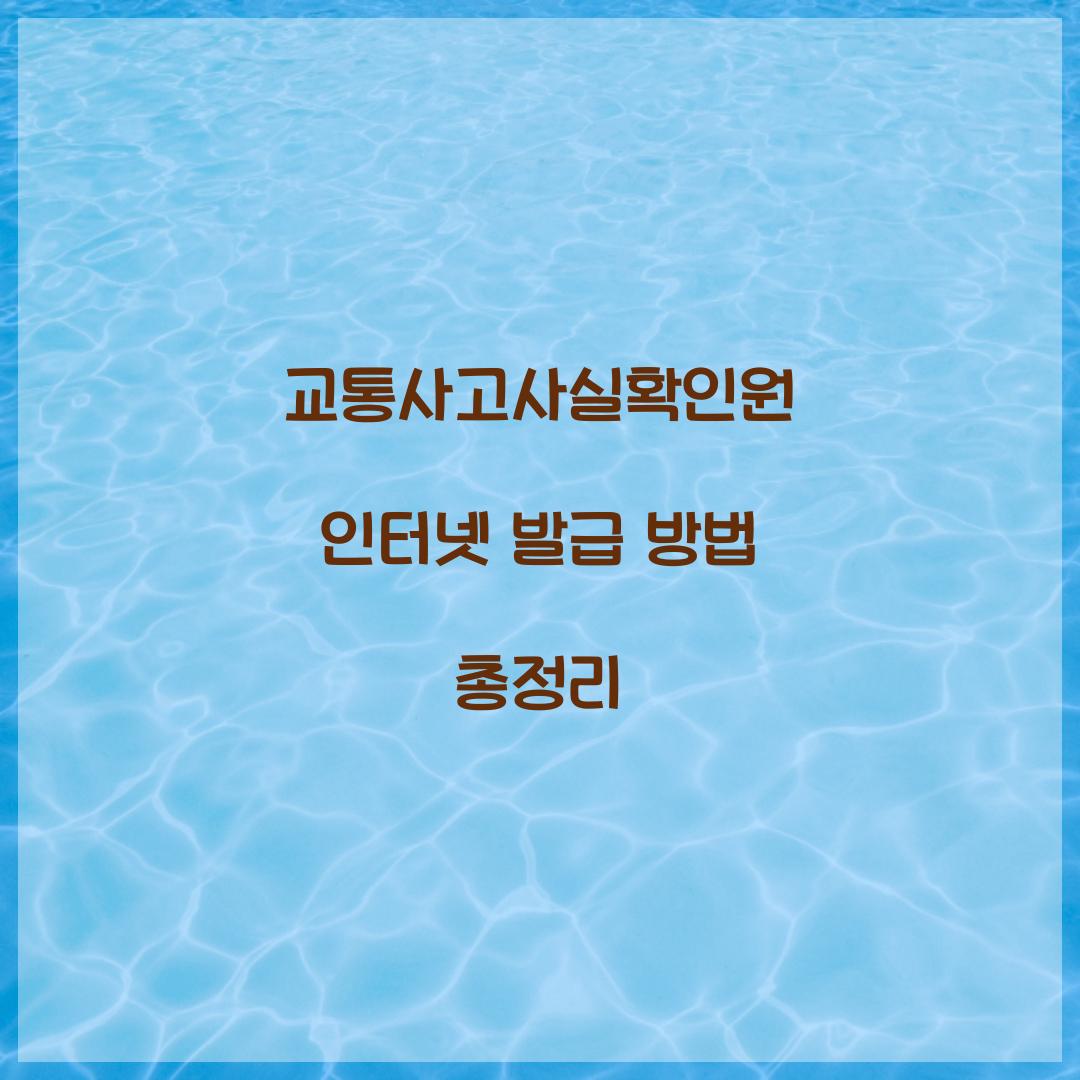 교통사고사실확인원 인터넷 발급