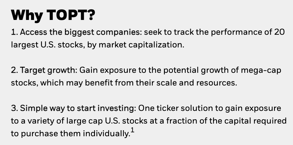 미국 빅테크 20개 기업을 3만 원에 소유하는 TOPT ETF 배당금은?4
