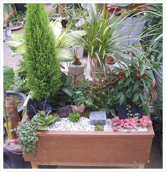 실내 인테리어와 자연스럽게 어울리는 미니 정원 조성 방법 관련 사진