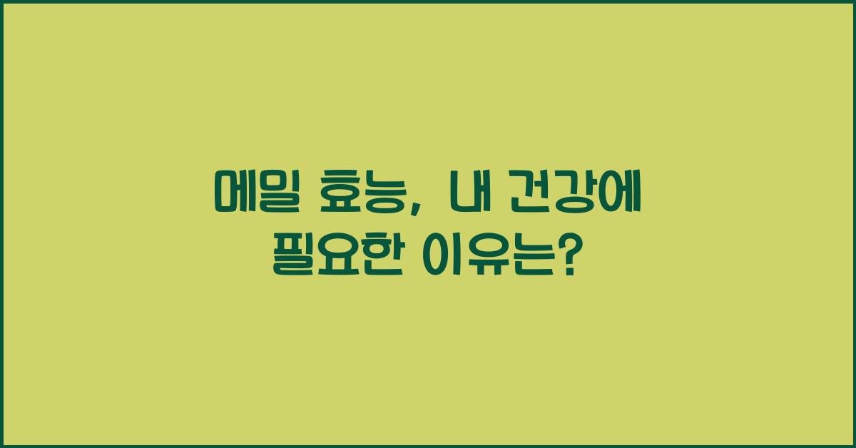 메밀 효능