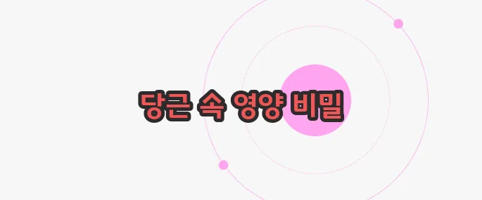 비타민A가 많은 음식 궁금한 점, 풀어보죠