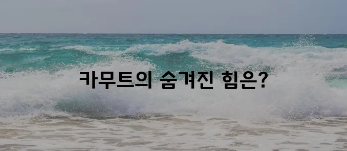 카무트의 11가지 효능을 완벽 정리했습니다!