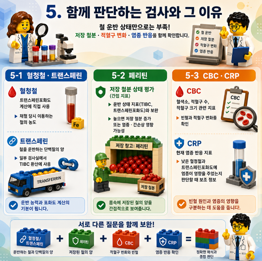 레고 스타일 메디컬 인포그래픽으로 식사, 채혈 시각, 철분 제품, 염증, 임신, 수혈 등 TIBC와 트랜스페린포화도 결과에 영향을 주는 조건을 정리한 이미지