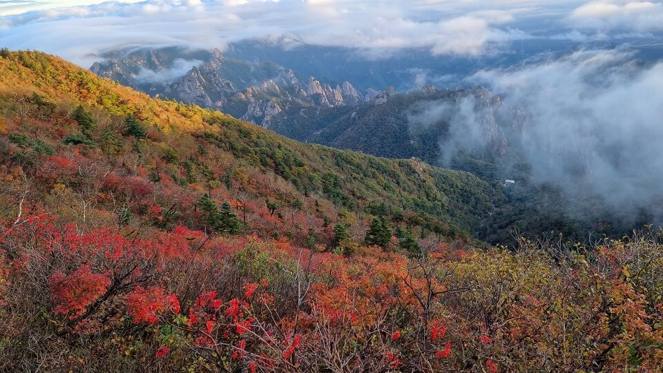 강원도 가을 단풍 여행 가이드 : 2025 설악산(속초/인제) 단풍 절정 시기 &amp; 추천 코스
