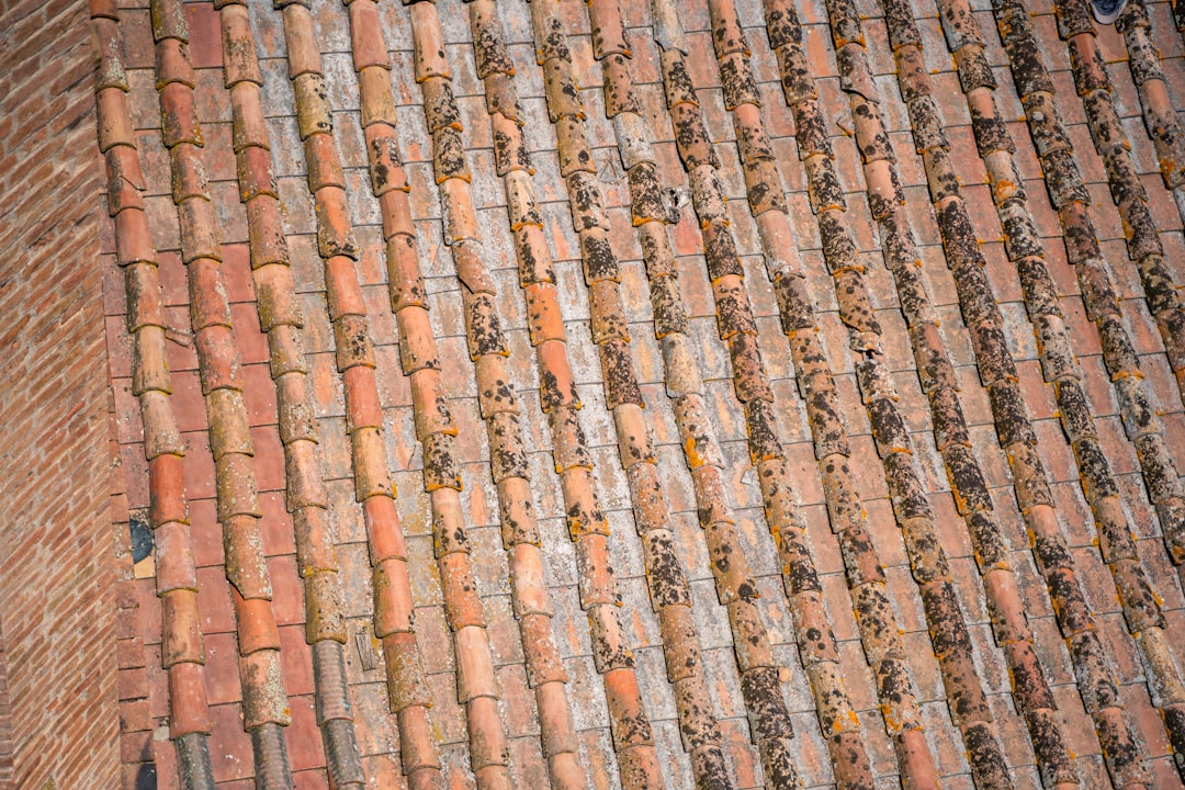 Shingles.