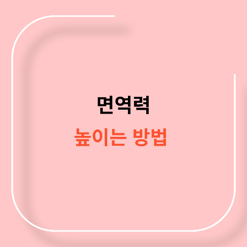 면역력 높이는 방법11