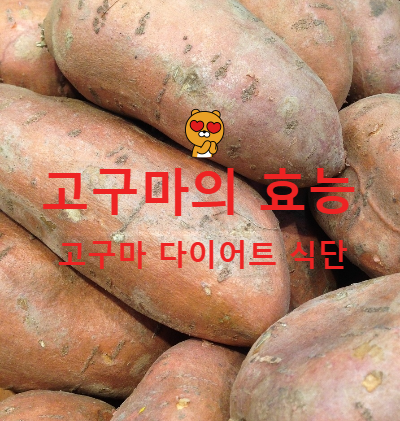 고구마 그 매력 고구마의 건강한 효능과 다이어트 효과 고구마 일주일 식단