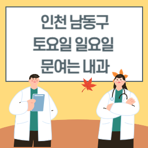 인천 남동구 토요일 일요일 내과 진료 병원 리스트