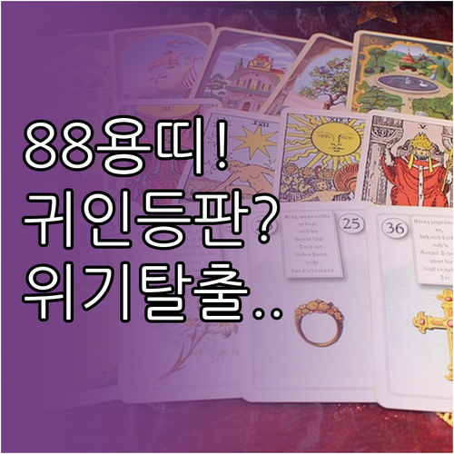 88년생 용띠 2월 직장운 및 사업운..