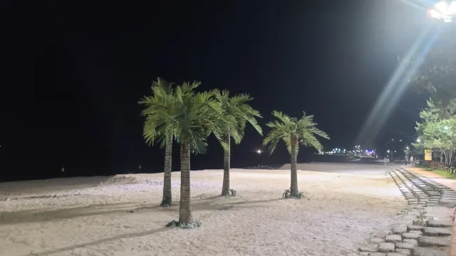 고아라해변 산책