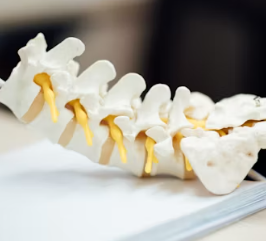 허리 디스크 증상 운동법 원인 관리법