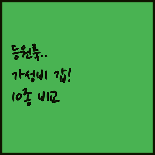 아동용 등원룩 트레이닝복 세트 10종..