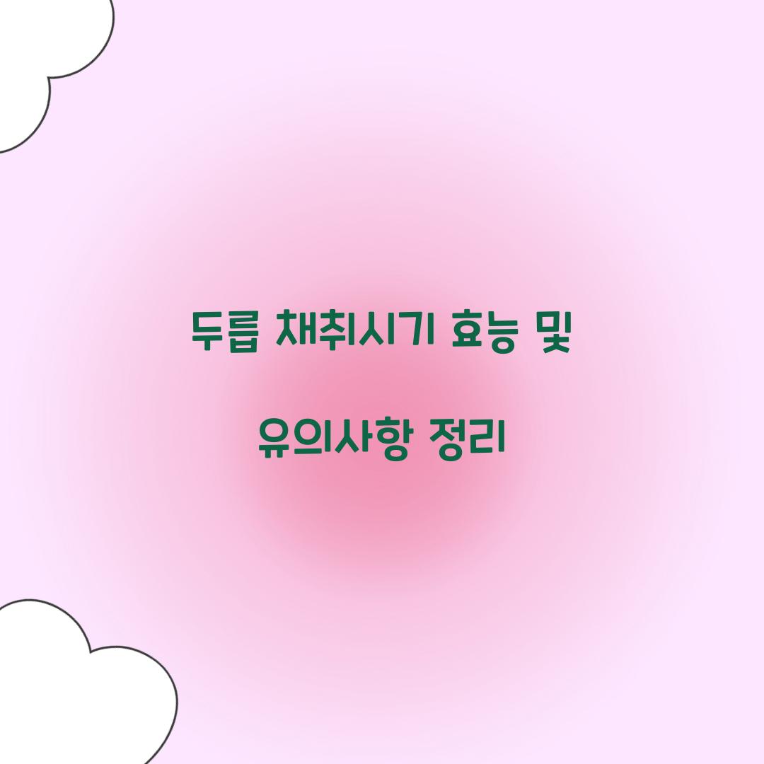 두릅 채취시기 효능