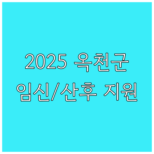 2025 옥천군 임신 전 산후 영양제..