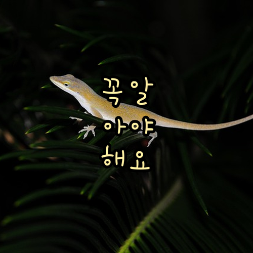 폐가전 무료 수거 찬스 마포 도화동 ..