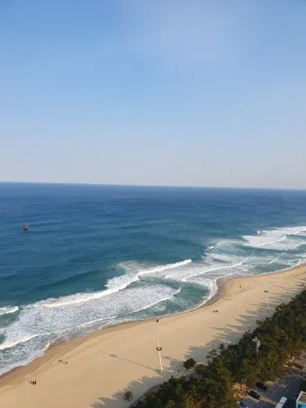 강릉 맛집 추천 여행코스에 포함하기 좋은 식당 리스트_13