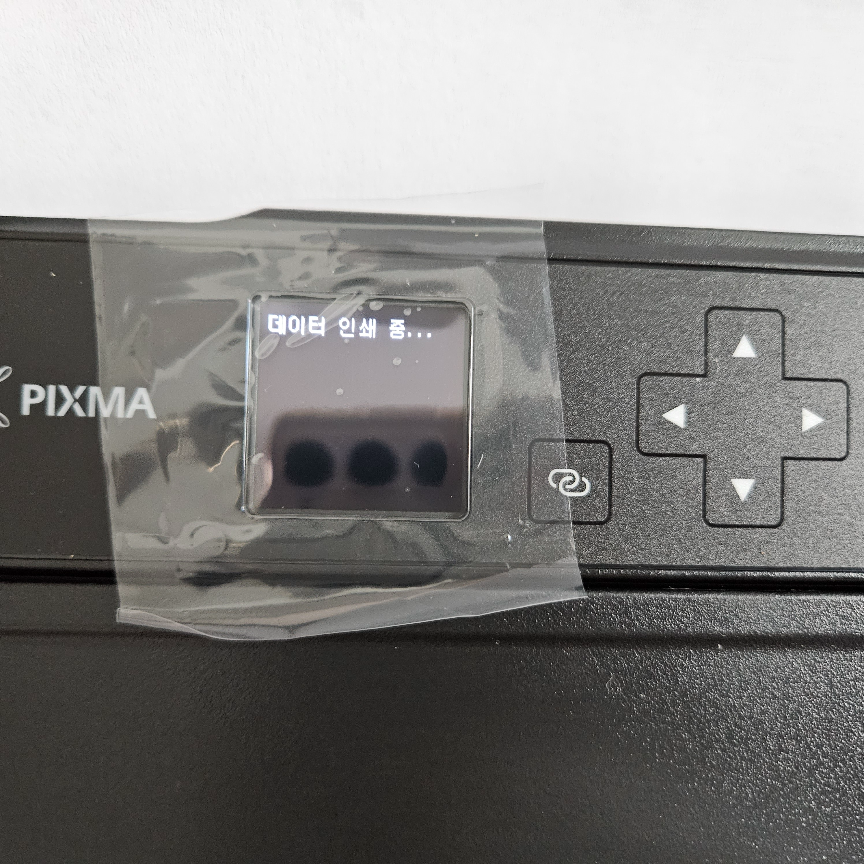 휴대용프린터 추천 캐논 TR150 내돈내산 A4 무선프린터 찐사용 후기