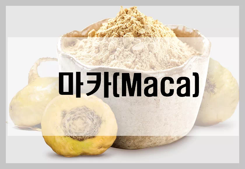 마카(Maca)
