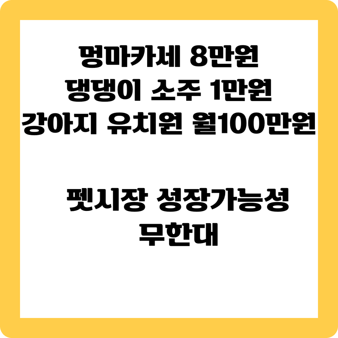 펫시장