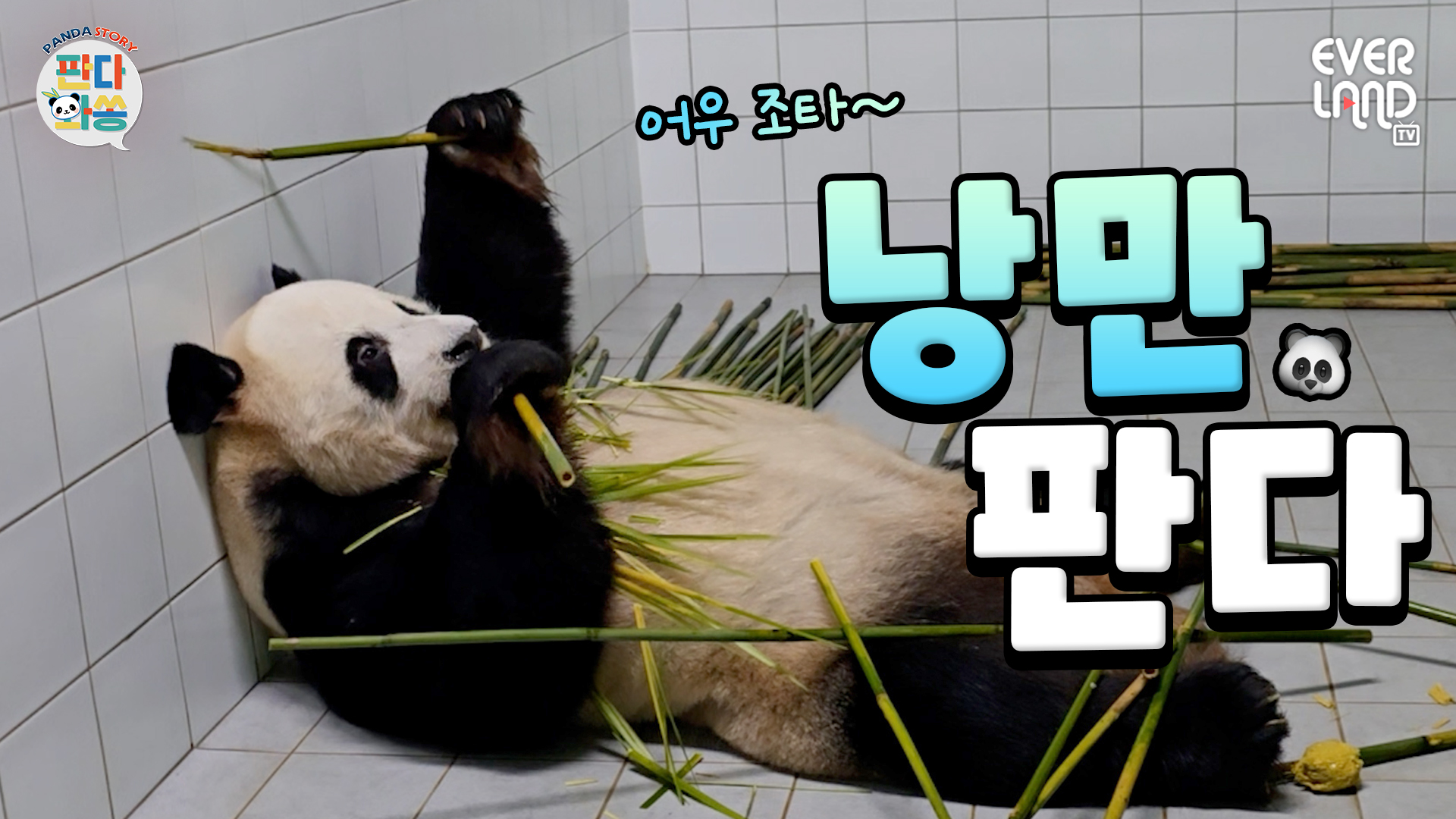 판다월드에는 낭만이 있다.｜#판다와쏭 #257