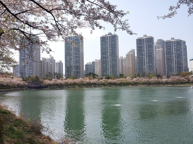 서울 석촌호수 벚꽃축제
