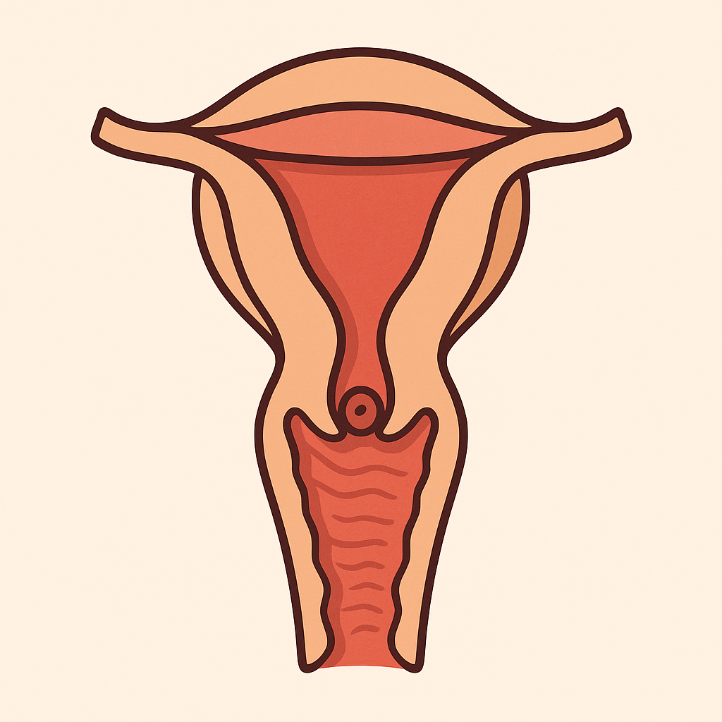 여성 질염과 방광염의 차이점｜증상부터 원인&amp;#44; 예방법