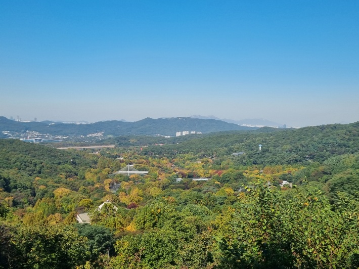 대공원
