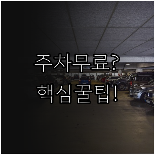 대전 베이스볼 드림파크 주차장 이용 ..