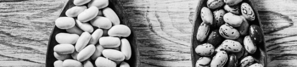 강낭콩 보관법: 단백질, 식이섬유, 비타민, 미네랄 등