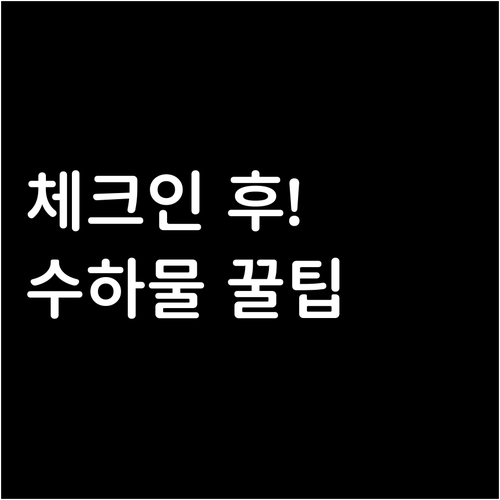 중국동방항공 온라인 체크인 후 수하물..