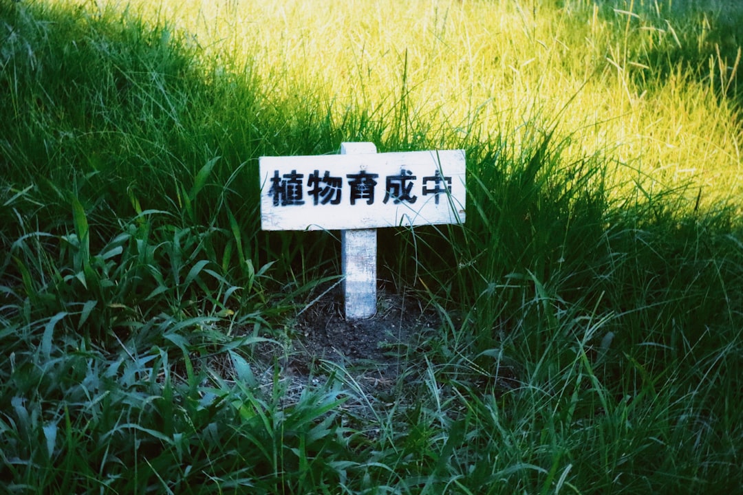 입장 (position)
