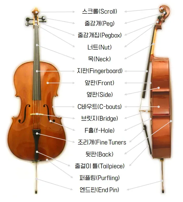 오케스트라를 구성하는 클래식 악기들의 종류와 특징을 정리_4