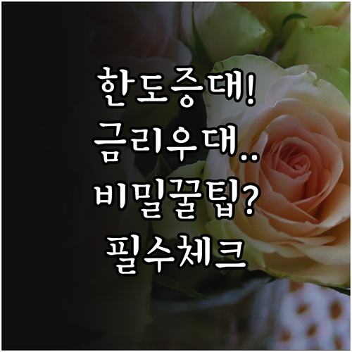 주요 은행 마이너스통장 금리 우대 조..