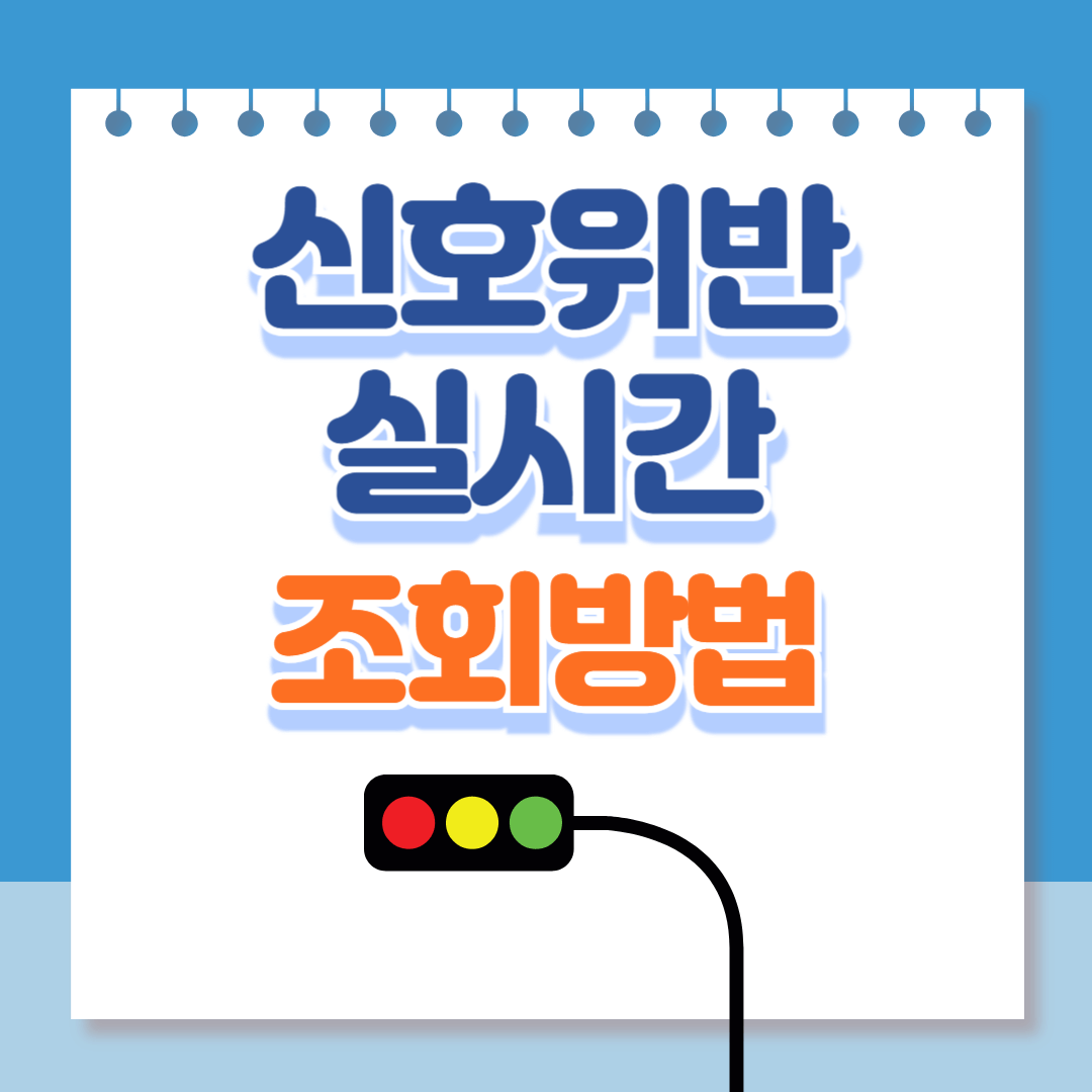 신호위반 실시간 조회