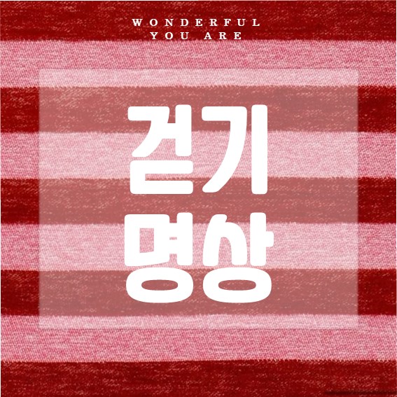 걷기 명상 완벽 가이드: 마음챙김과 건강의 비밀