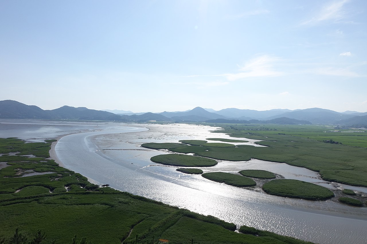 한국갯벌 관련사진