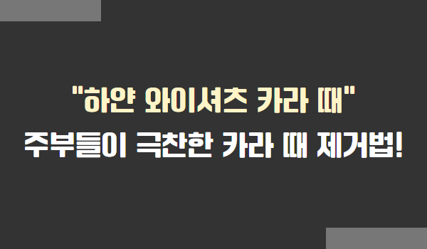 와이셔츠 카라 때 제거법