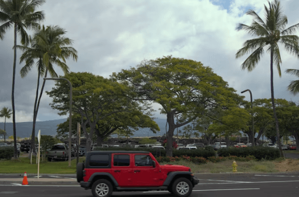 하와이 자유여행: 항공부터 렌터카까지&amp;#44; 모든 것 총정리!