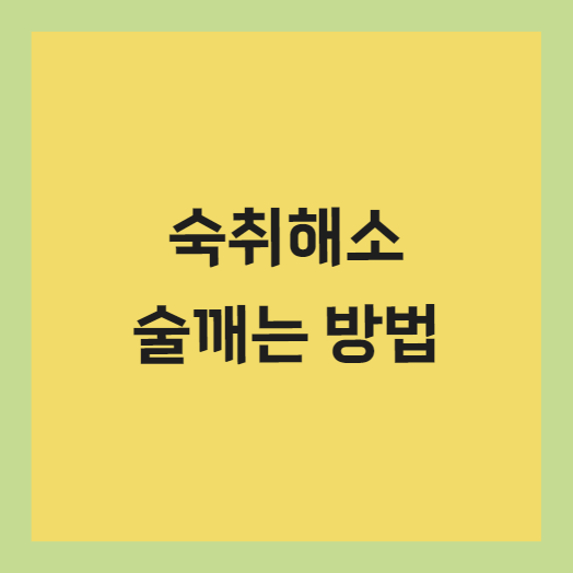 숙취해소법 술빨리깨는법