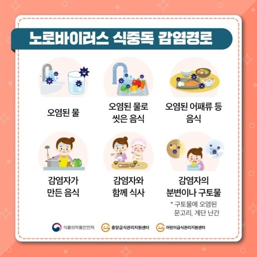 노로바이러스 감염 경로