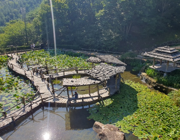 카페에서 바라보는 연못