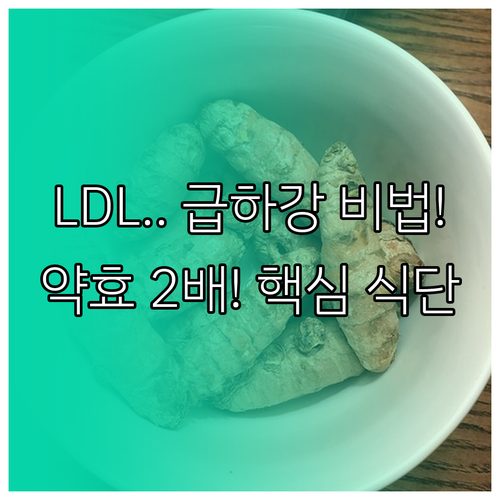 고지혈증 약물 효과 높이는 LDL 중..