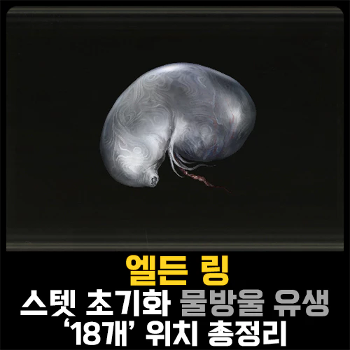 필수템