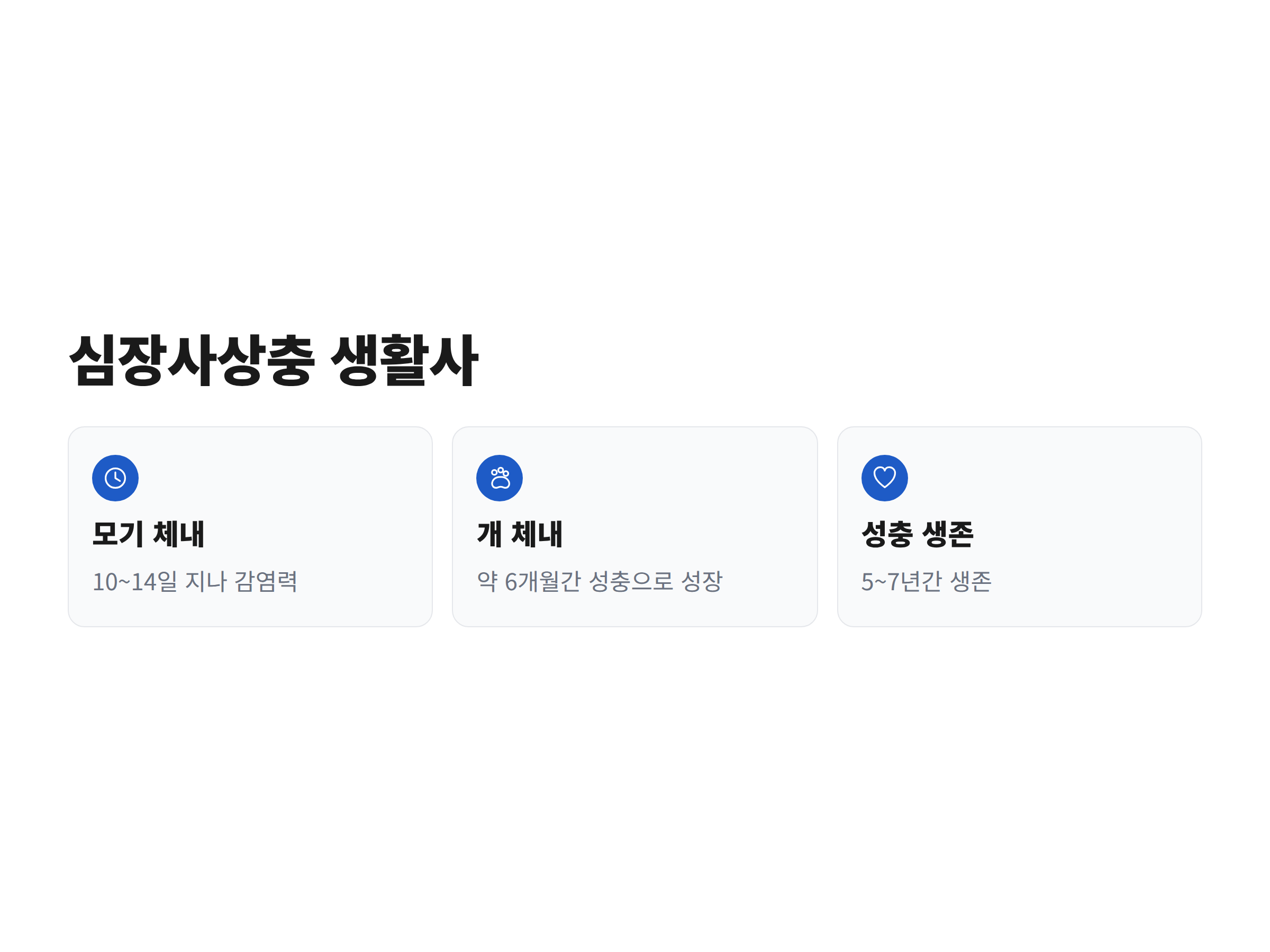모기 체내 10~14일과 개 체내 6개월을 거쳐 성충이 되는 심장사상충의 생활사를 단계별로 정리한 도식