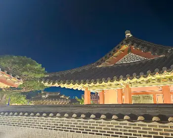 경복궁 야간개장 인터넷 예매_17